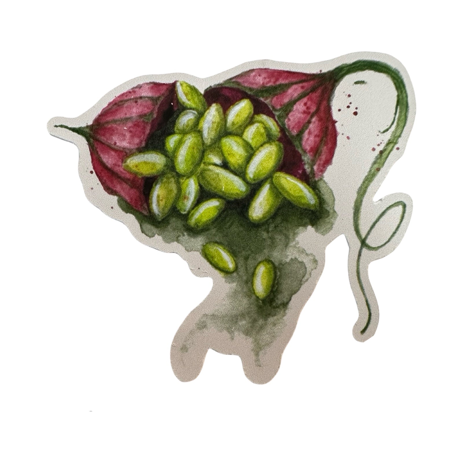 Close up herbology sticker. 