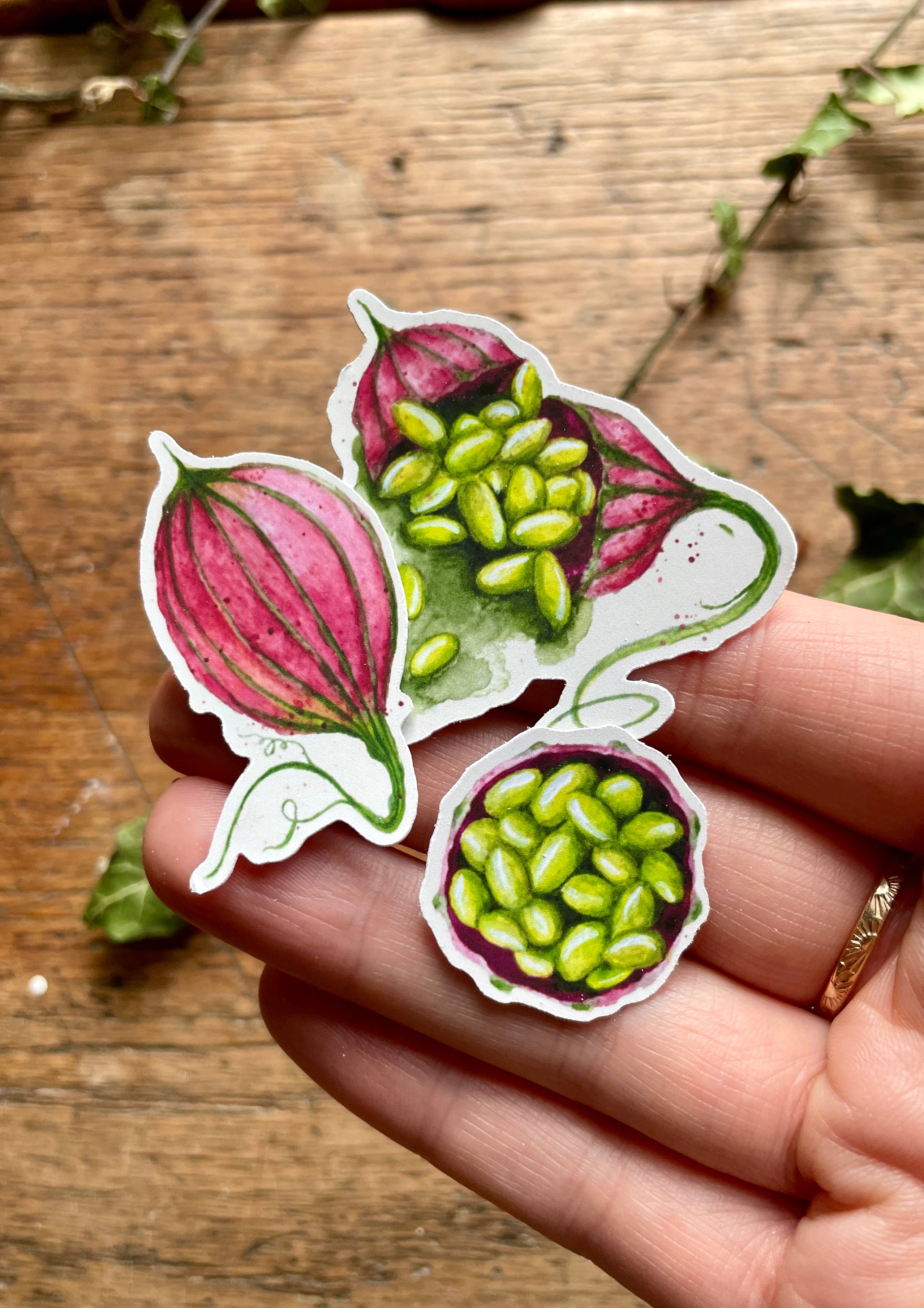 A set of 3 vinyl watercolour herbology stickers, printed on matt vinyl and die cut. 