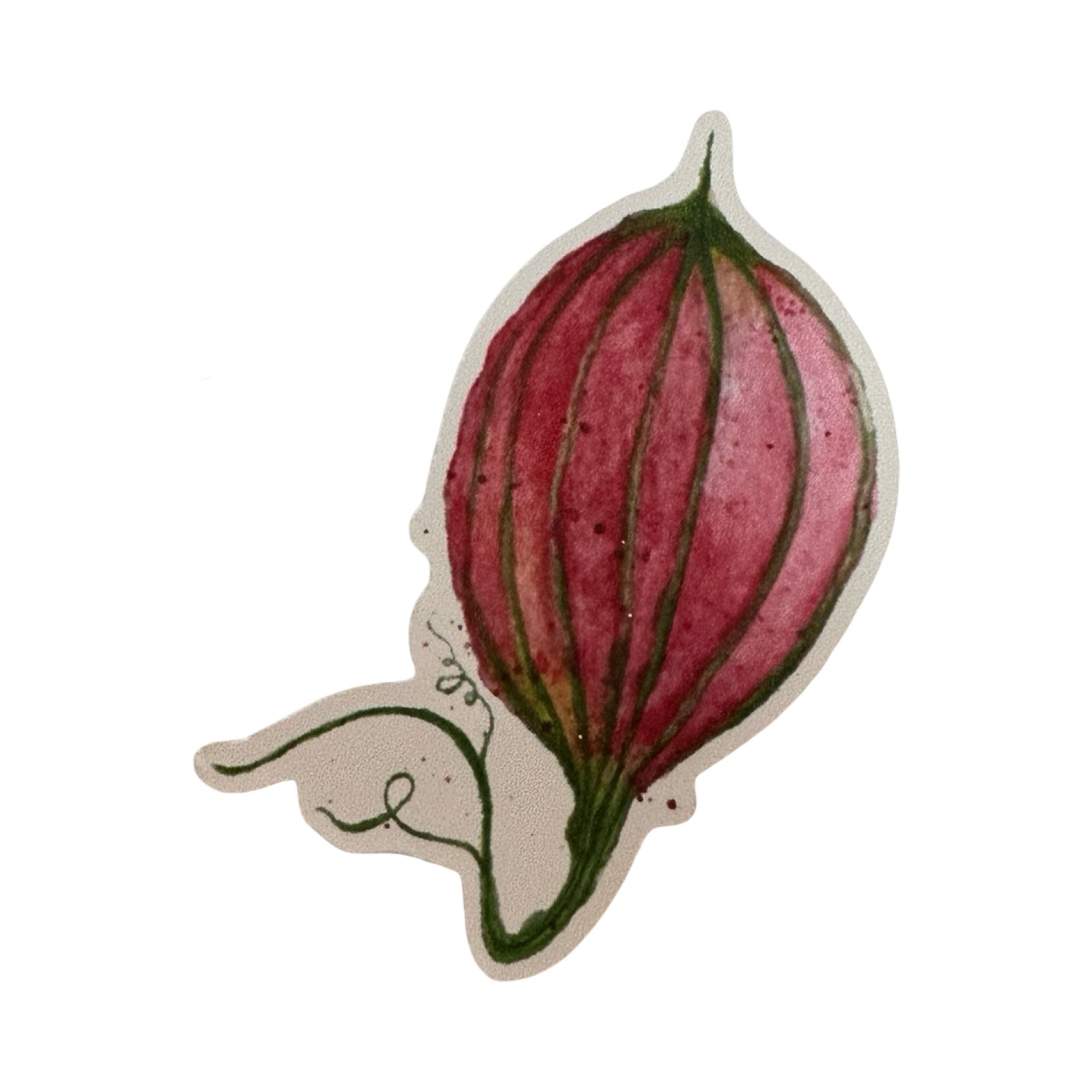Close up herbology sticker. 