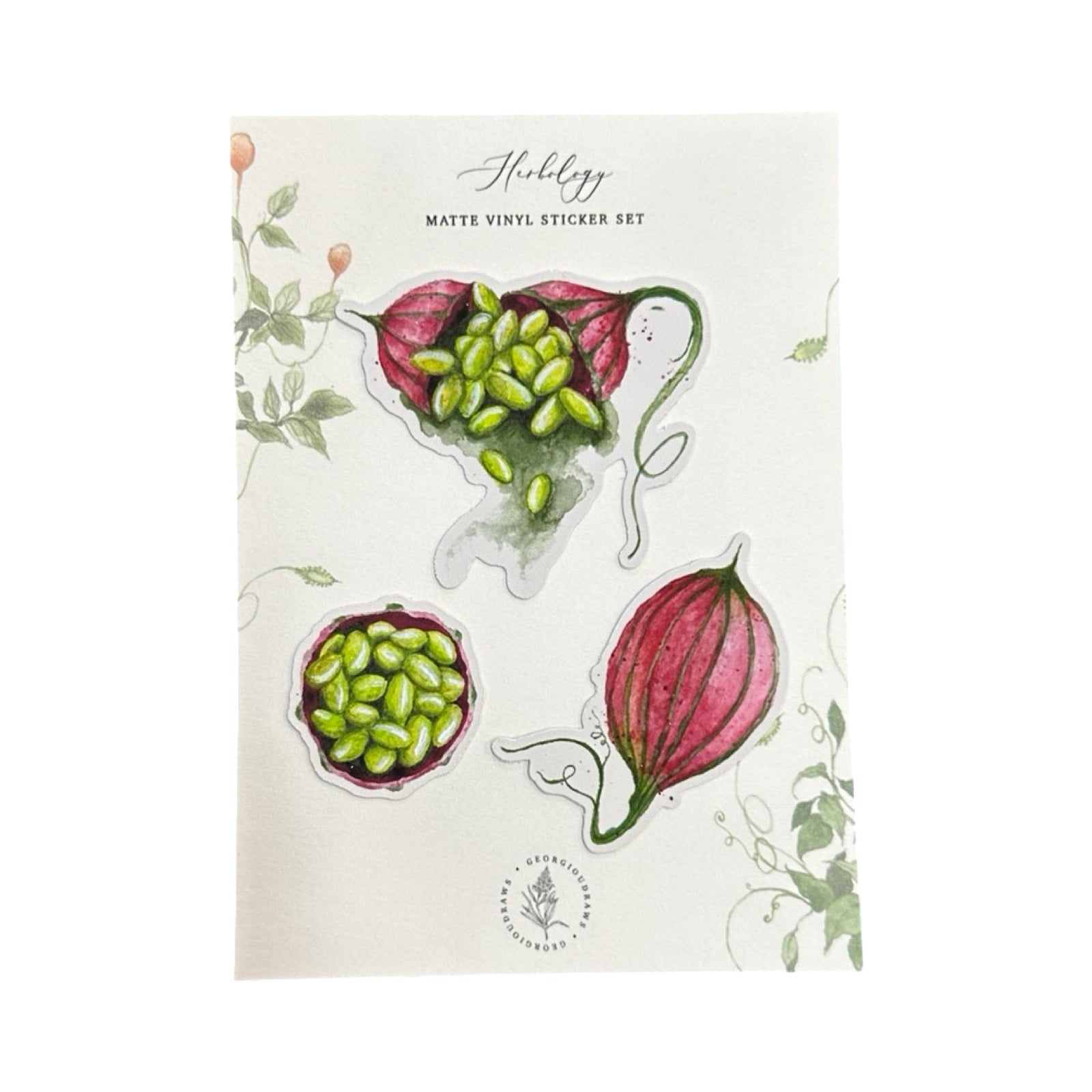 A set of 3 vinyl watercolour herbology stickers, printed on matt vinyl and die cut. 