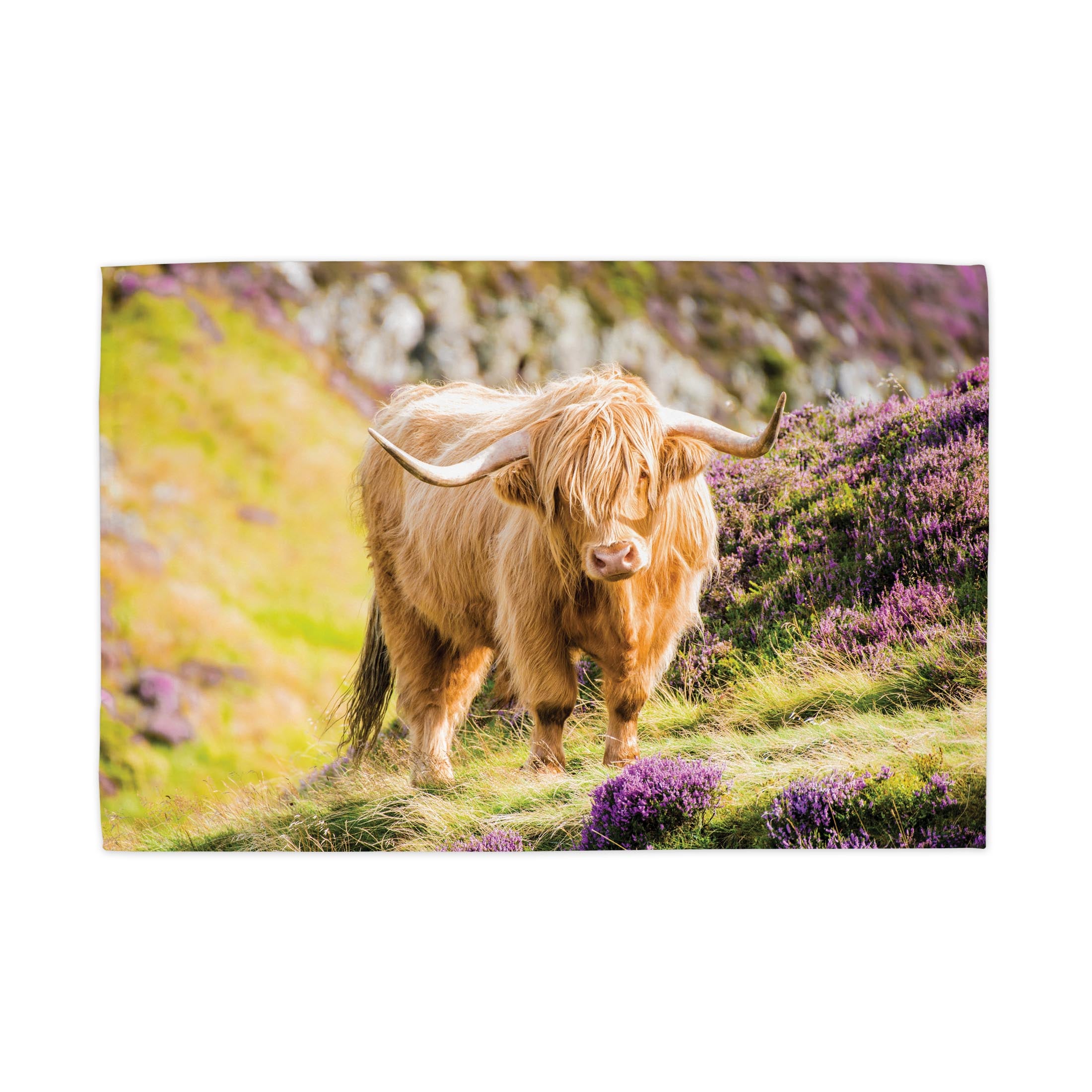 An image of a Highland Cow standing in heather printed on a tea towel.
