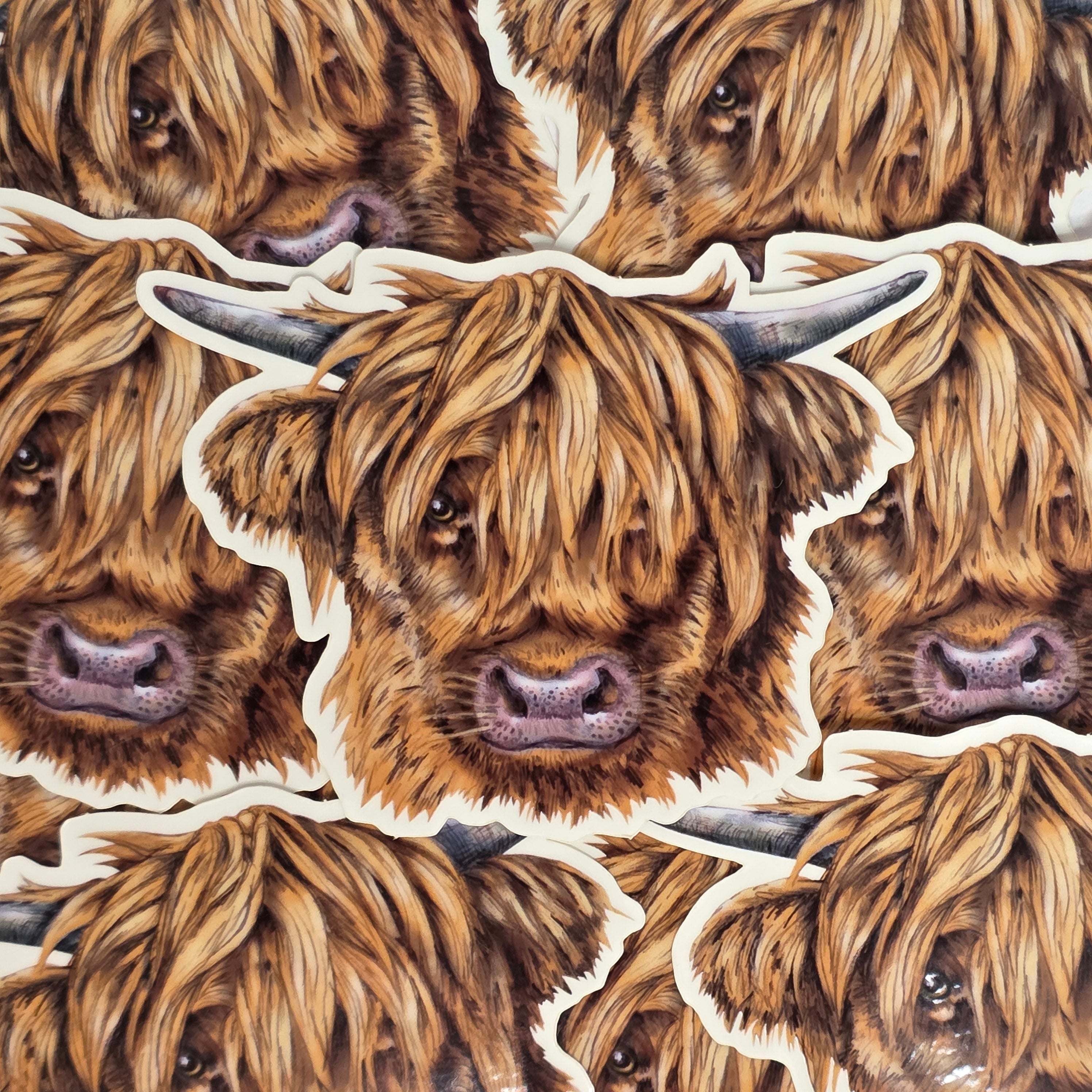 This vinyl cow head-shaped sticker features an illustration of a hairy Highland cow's head. 