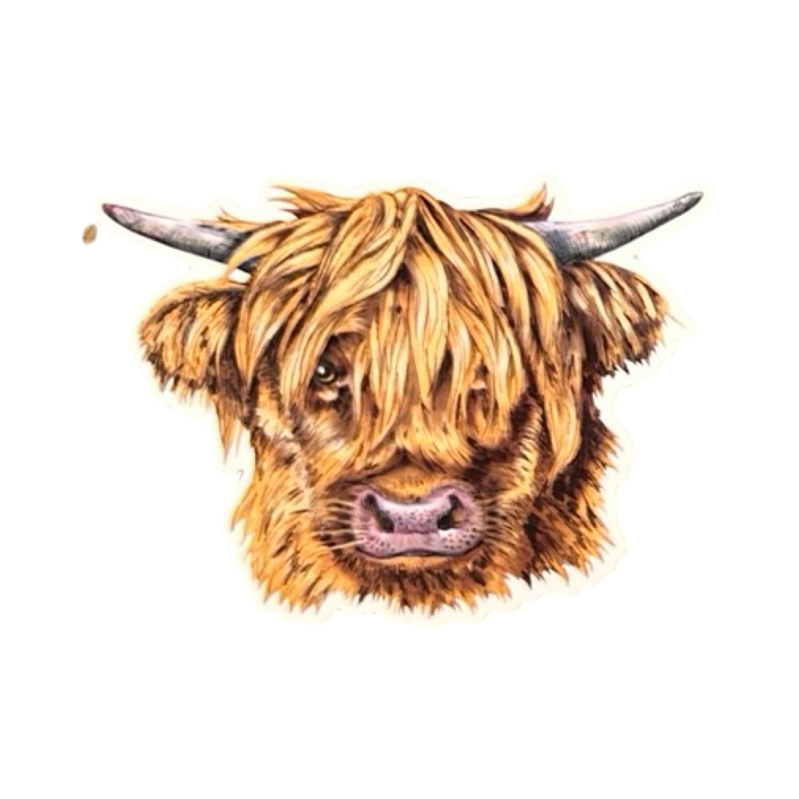 This vinyl cow head-shaped sticker features an illustration of a hairy Highland cow's head. 