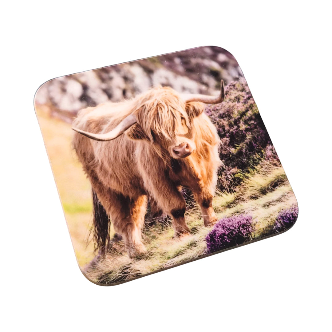 Coaster with a highland cow design on a white background