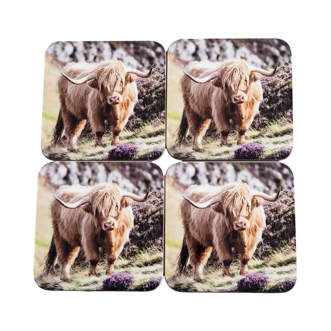 Set of four coasters featuring images of a highland cow in a field with purple flowers.