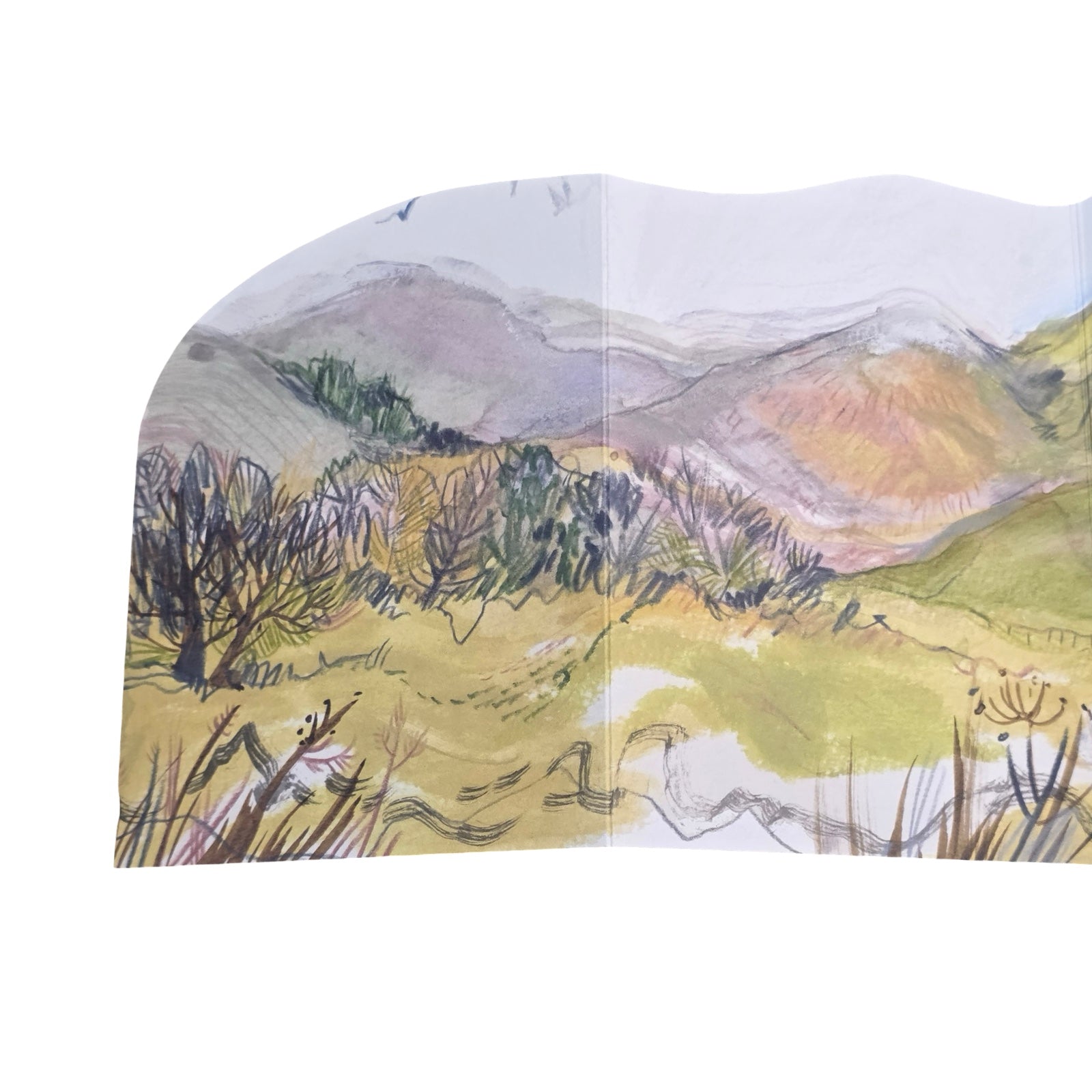 Hill and Glen Concertina Card
