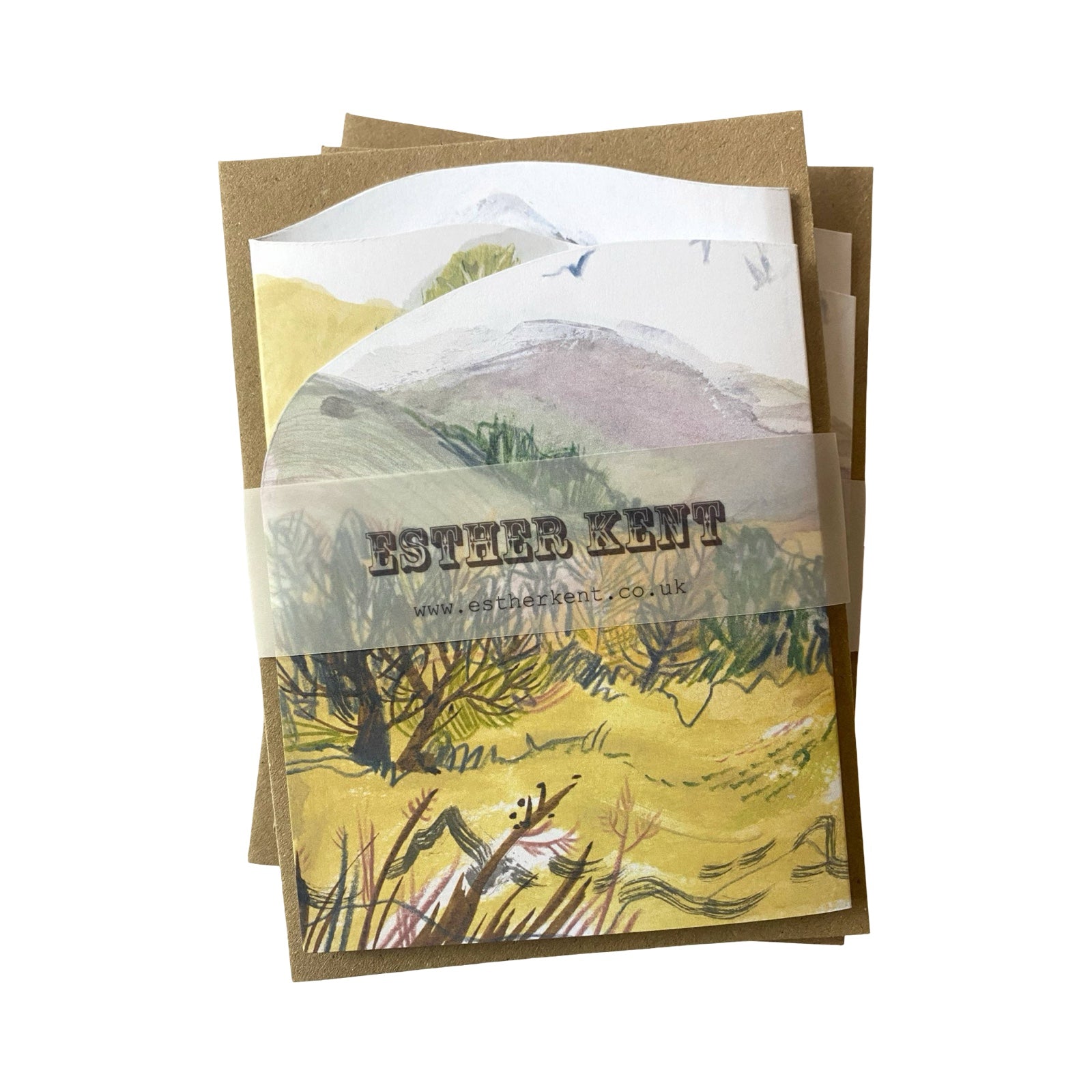 Hill and Glen Concertina Card