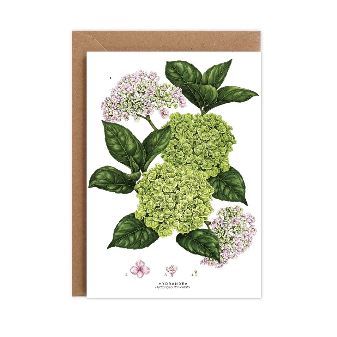 A6 card featuring an illustration of a beautiful bunch of hydrangeas. 