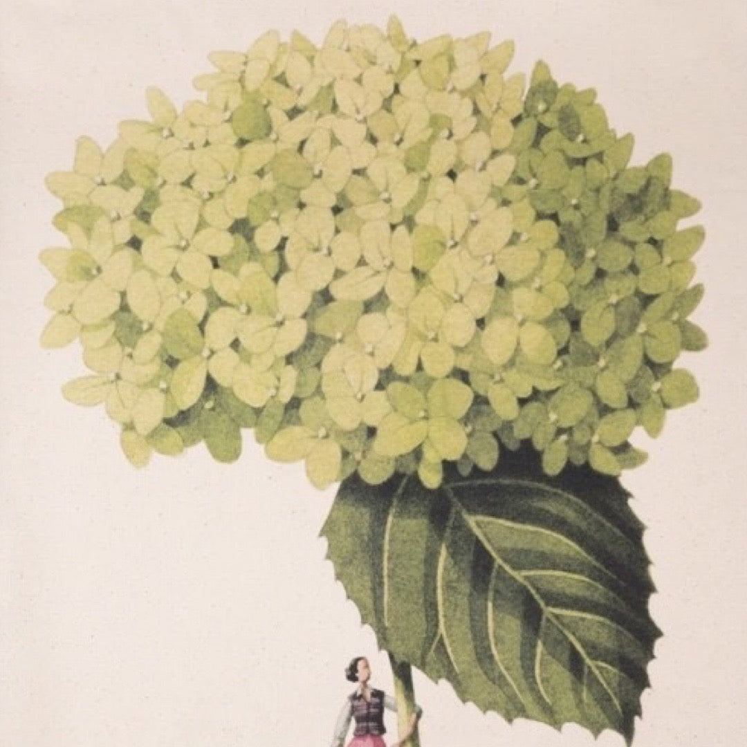Illustration of a large green flower and leaf with a person at its base on a light background.