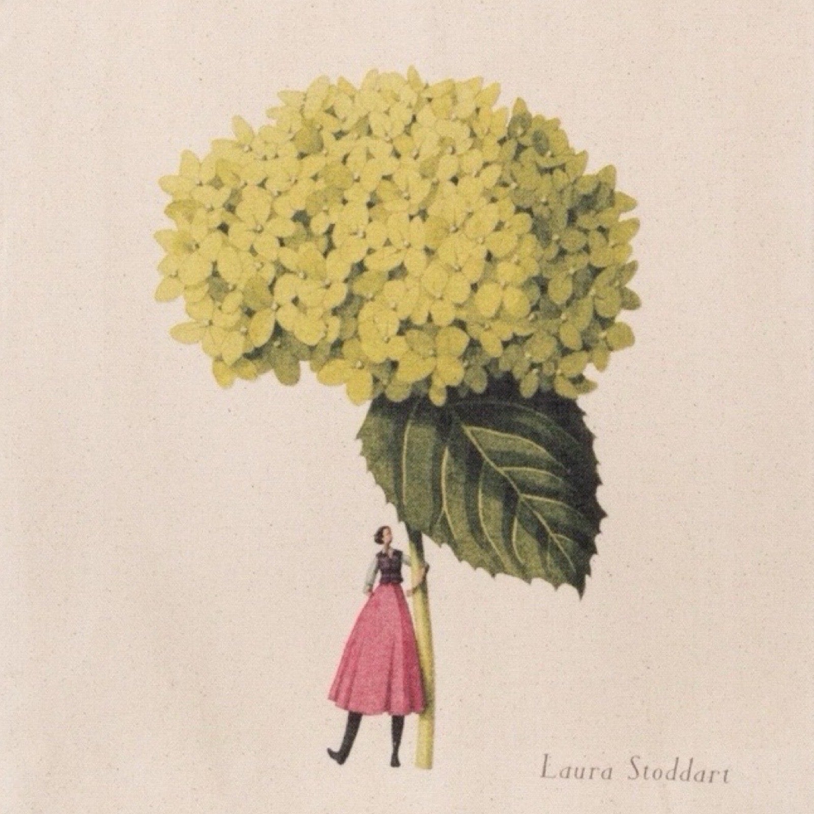 Illustration of a large yellow flower with a person holding it, signed 'Laura Stoddart'.