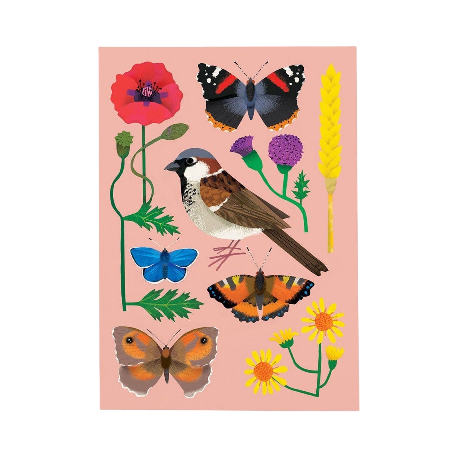 Postcard with birds, butterflies, and flowers on a pink background.