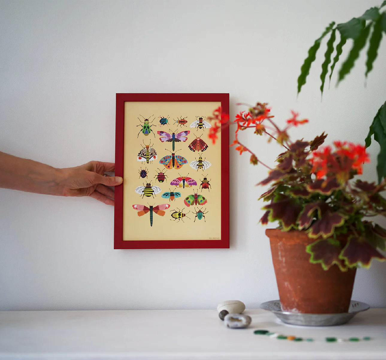Framed illustration of insects on a table with a plant and decorative items.