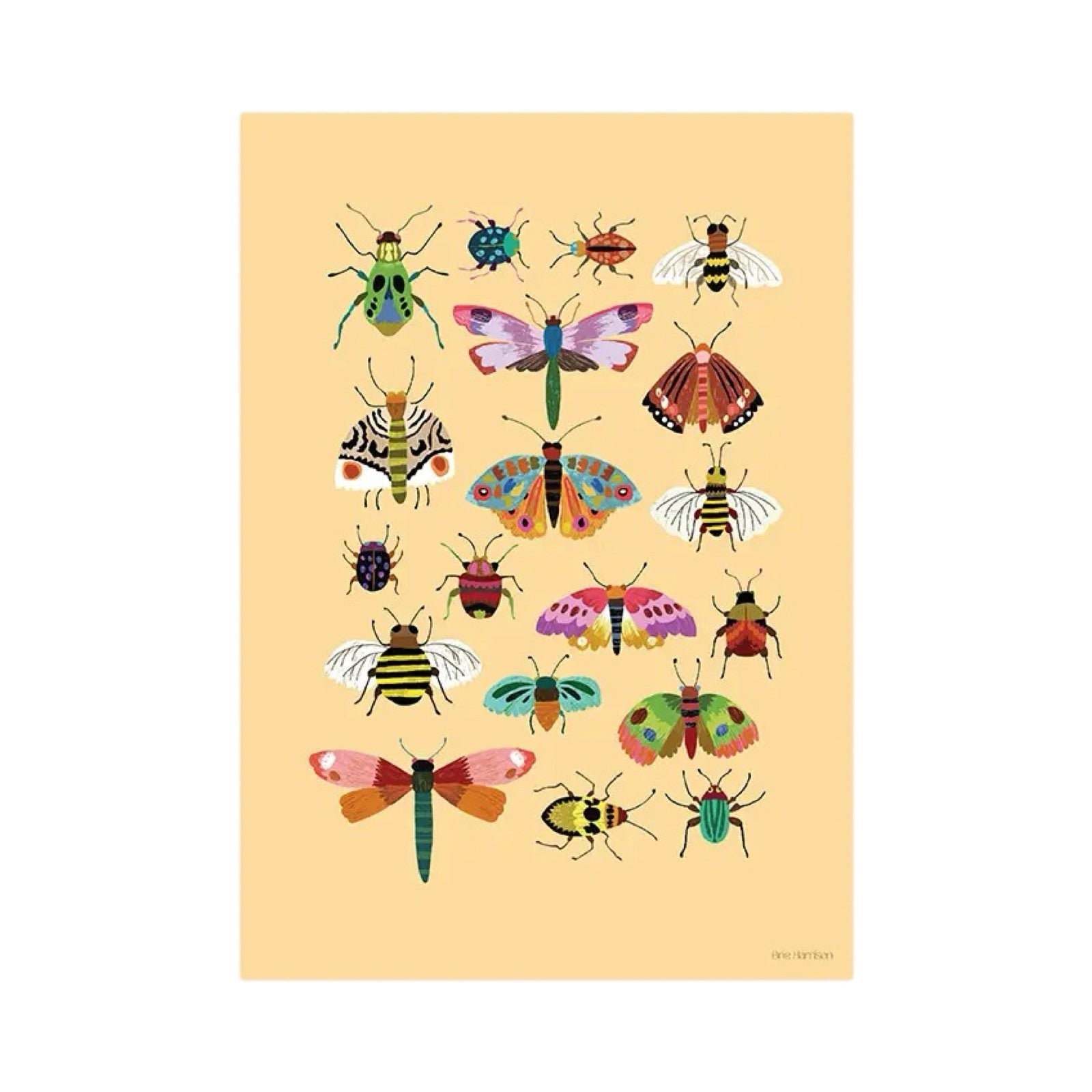 Print of a group of insects featuring bees, moths and butterflies all on a pale orange background.