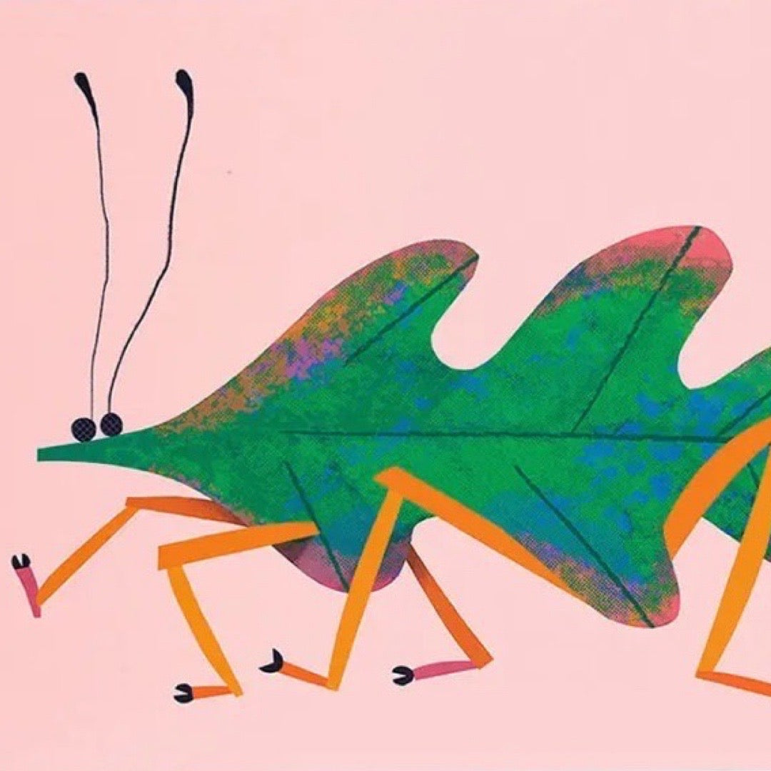 A6 postcard with Leaf Insect illustration by Natasha Dudley. 
