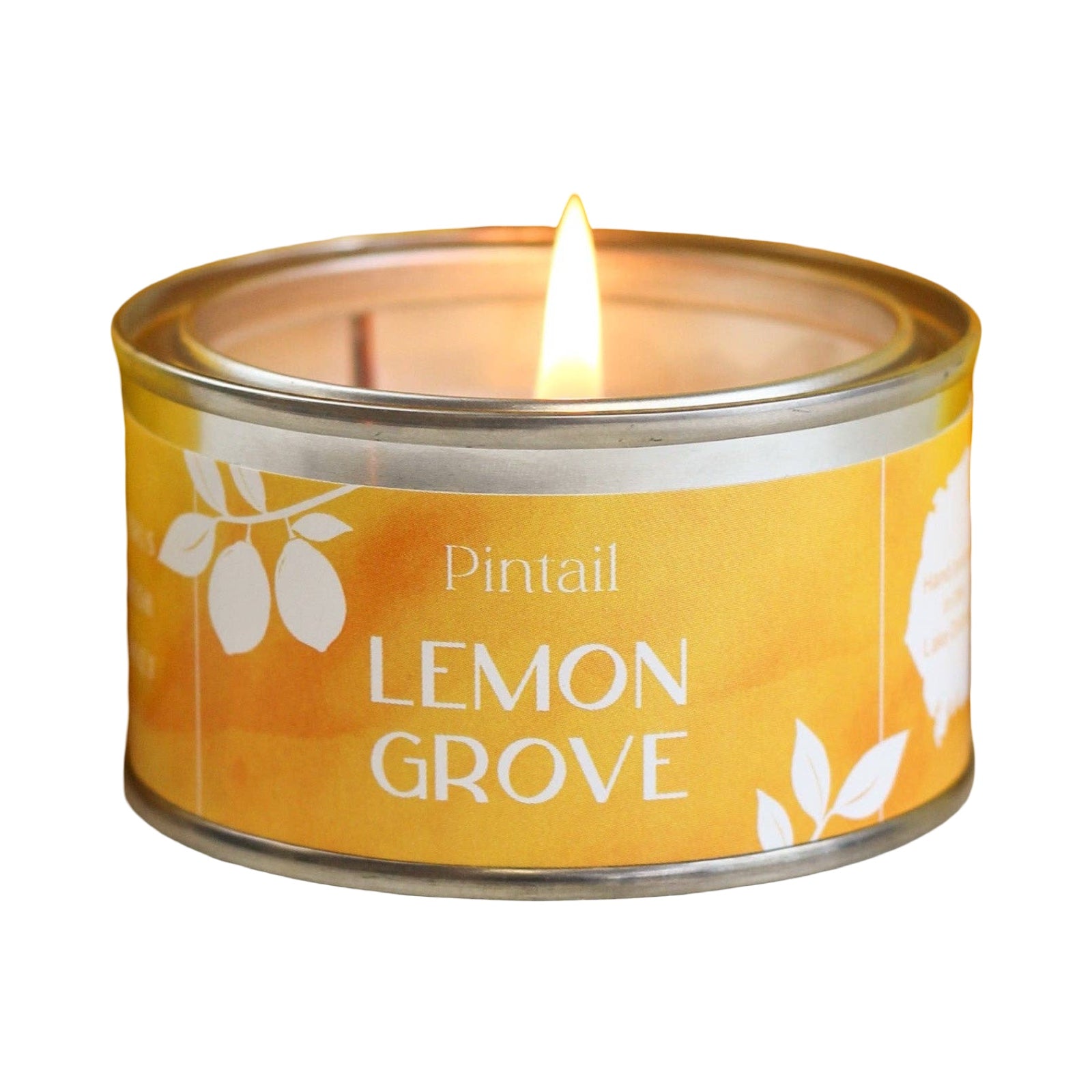 Lemon Grove Paint Pot Candle