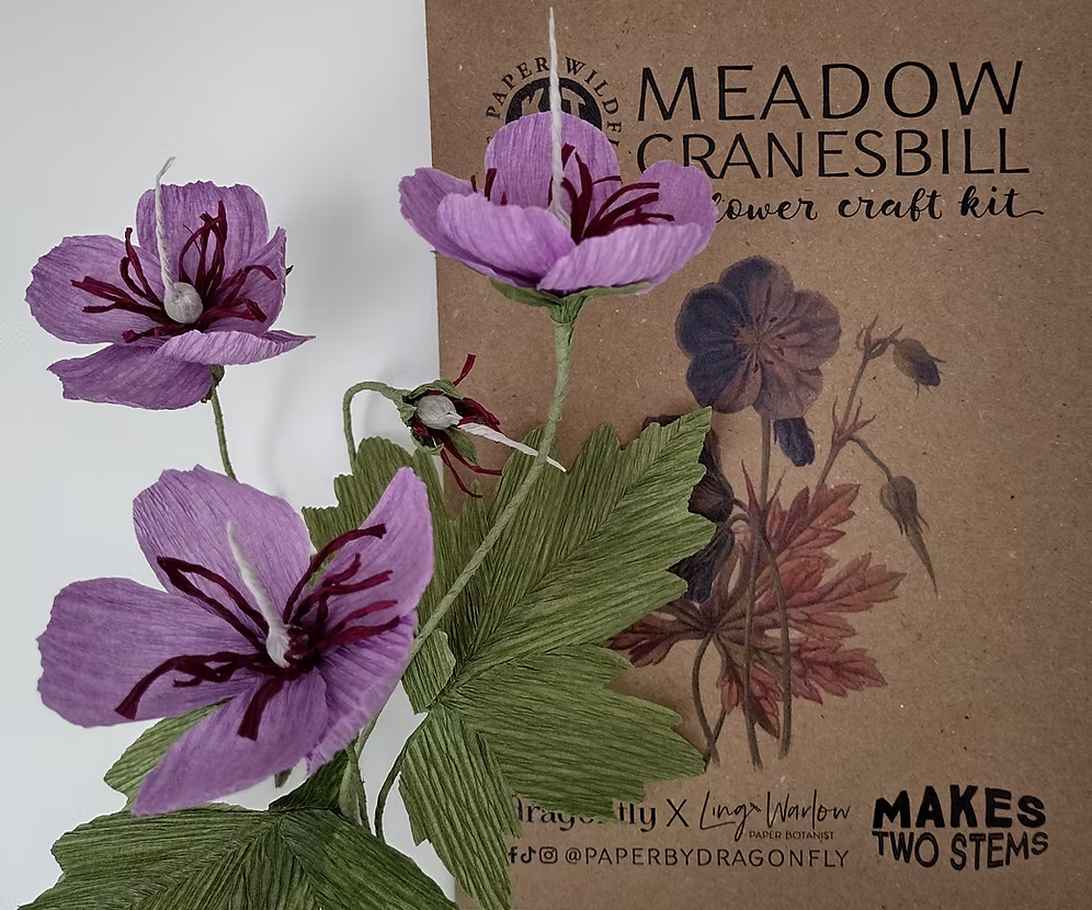 Paper flowers with a 'Meadow Cranesbill' craft kit in the background.