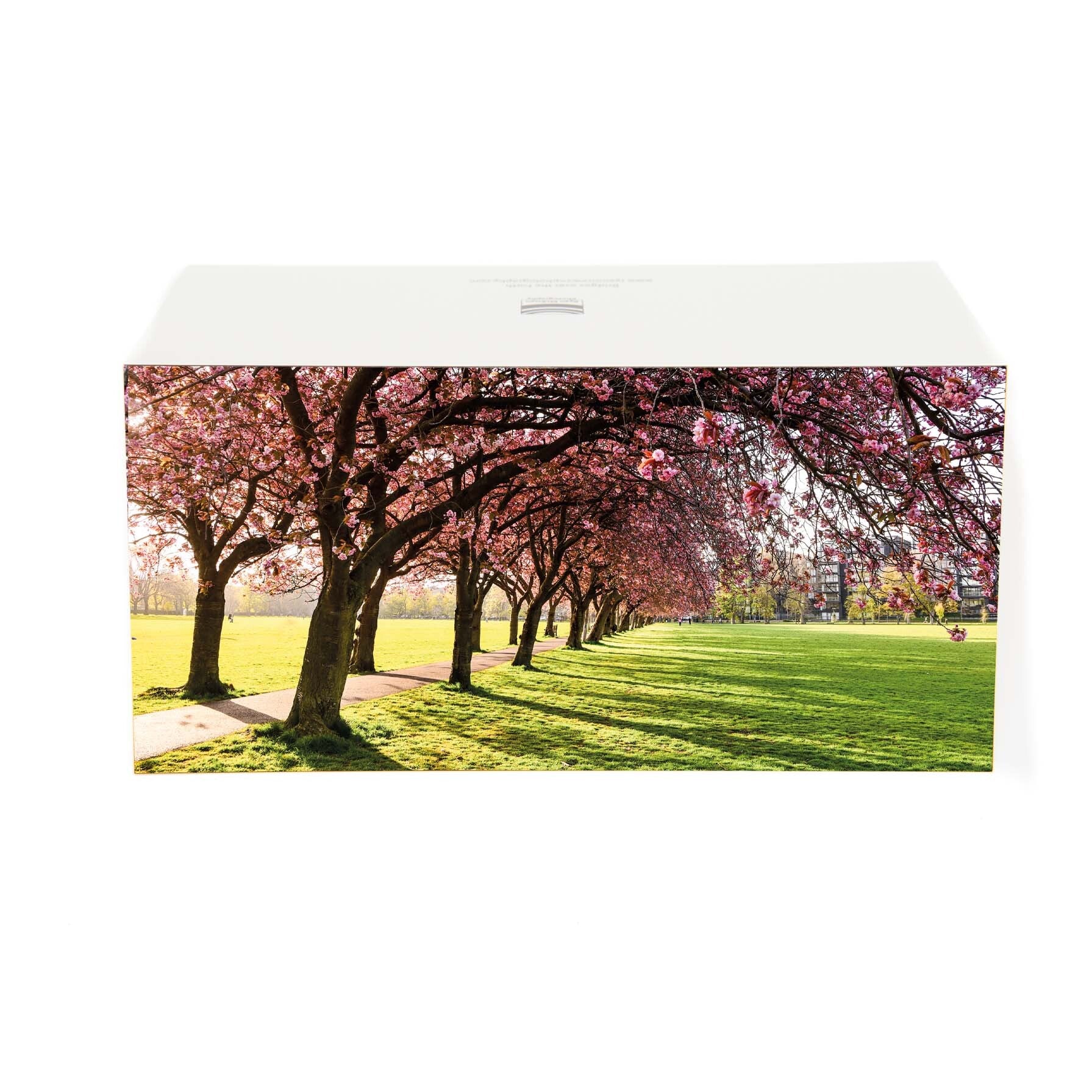 An image of a the Meadows Edinburgh in blossom on a card. 