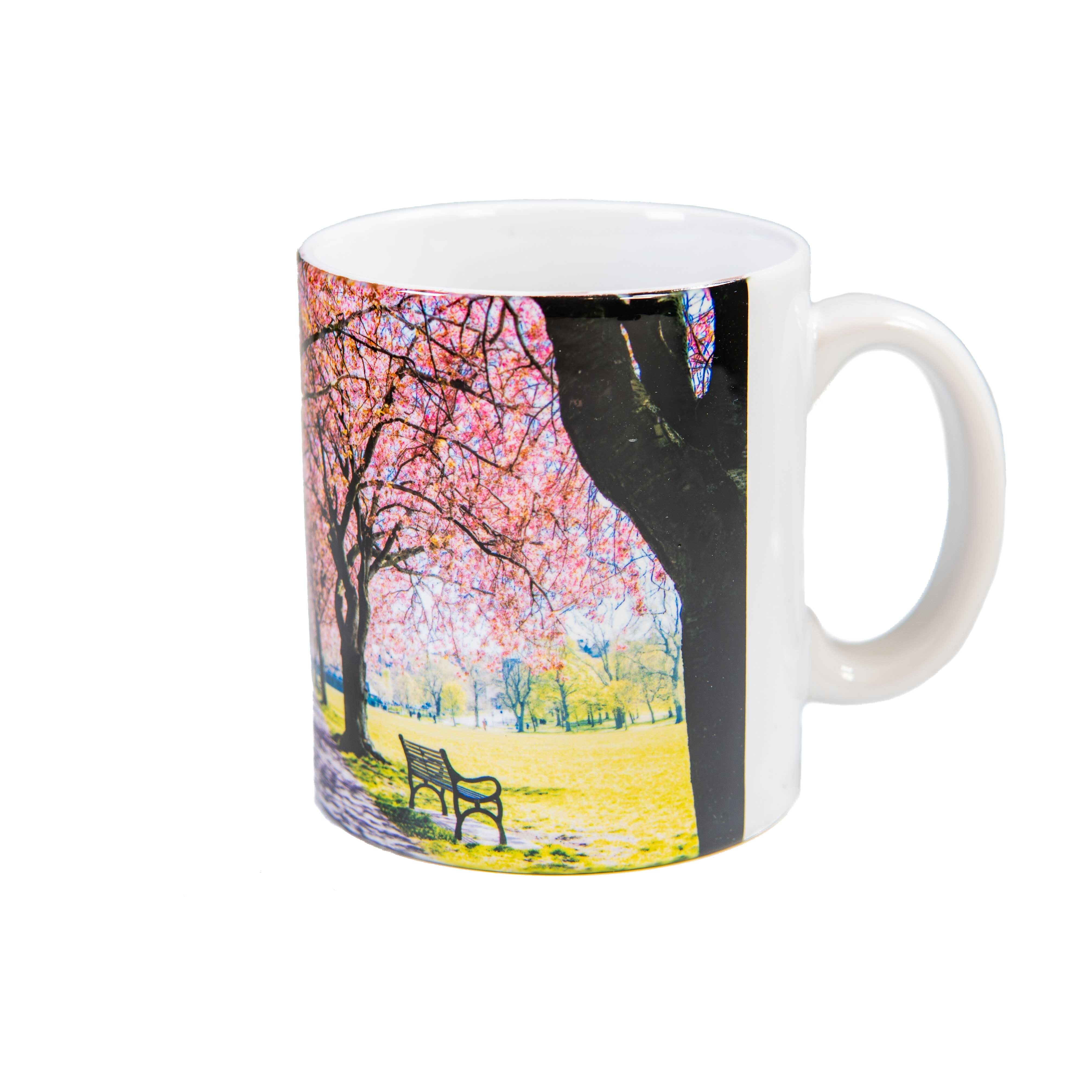 An image of a mug with a picture of the Edinburgh Meadows on it. 