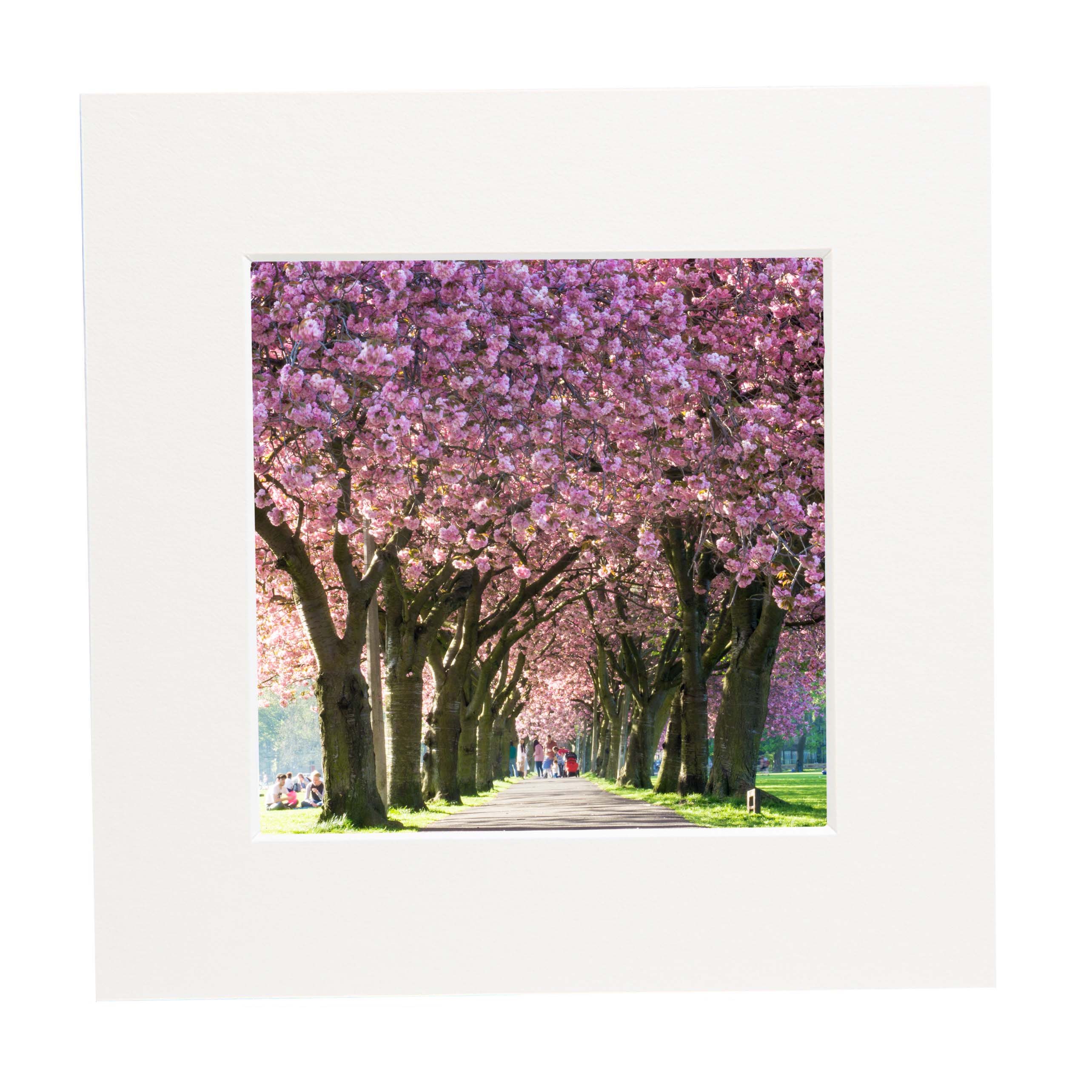 An image of The Meadows in Spring in a square mount. 