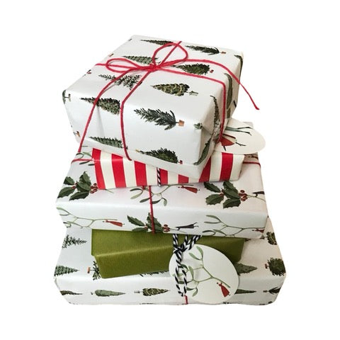 Mistletoe gift tag on a wrapped gift.