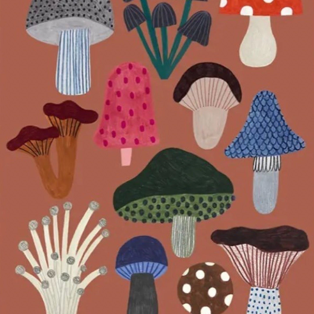 Illustration of various colourful mushrooms on a brown background.