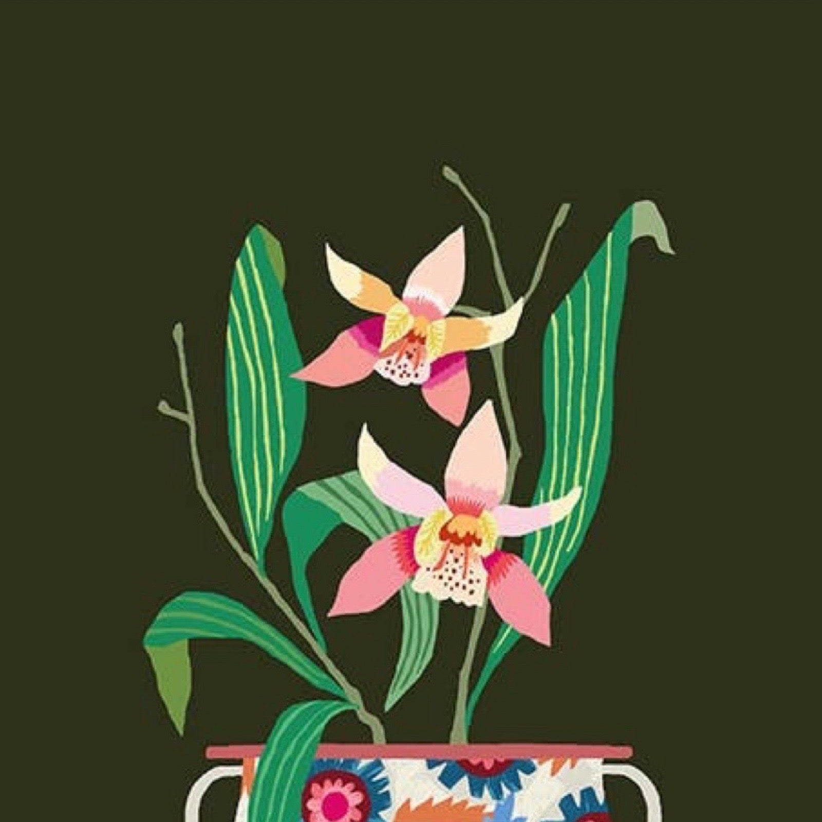 Colourful illustration of orchids in a pot on a dark green background.