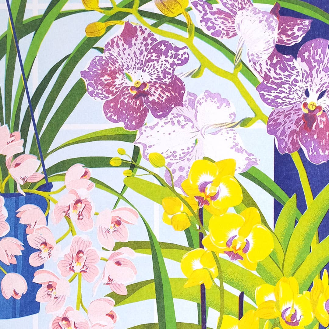Colourful illustration of orchids with pink, yellow, and purple flowers on a light blue background.
