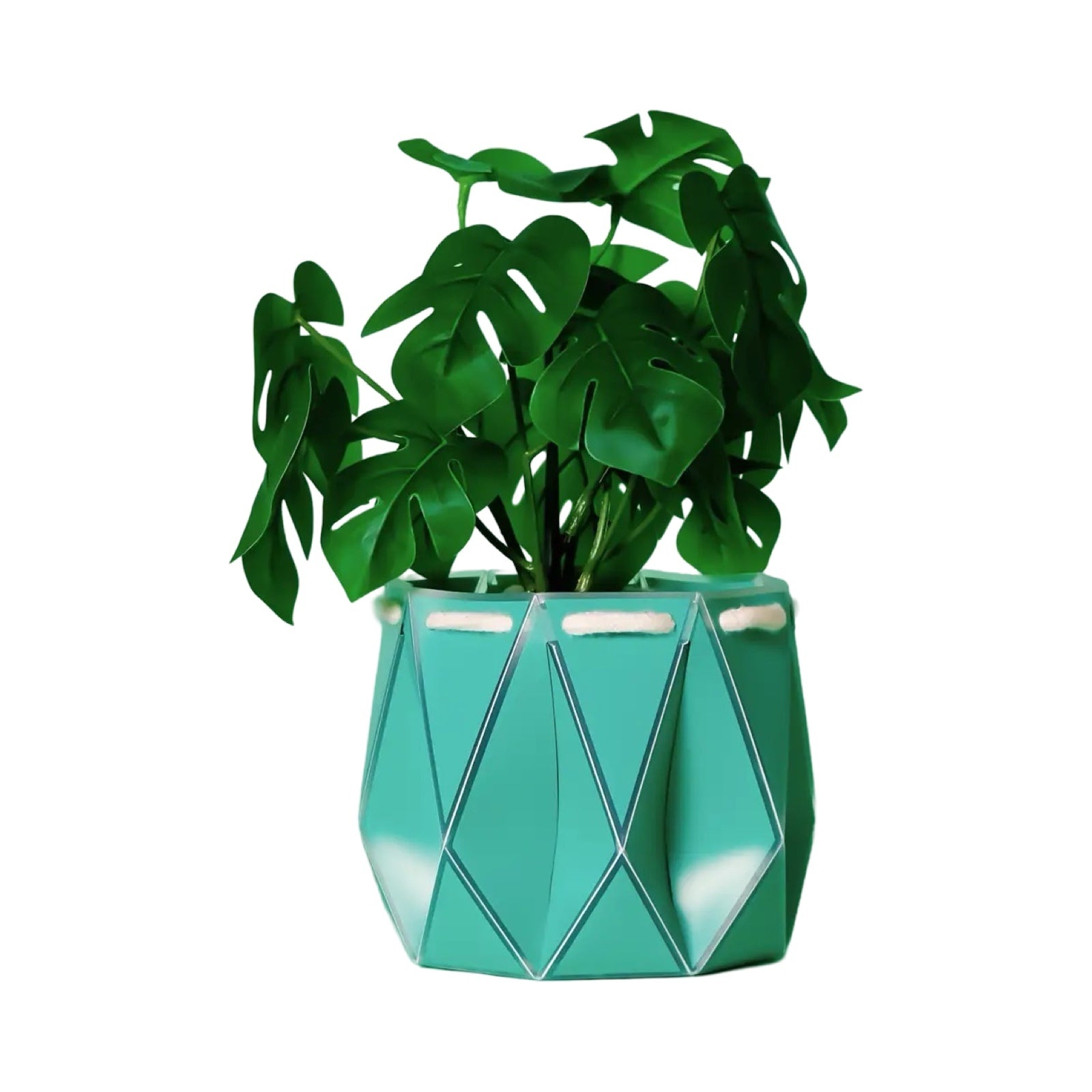 A turquoise recycled plastic plant pot with a green plant inside.