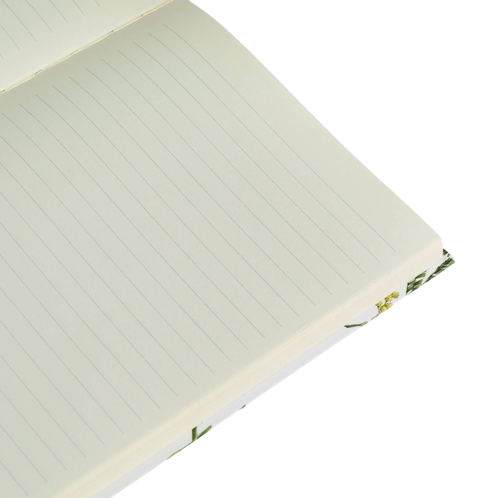 The inside lined pages of a Catherine Lewis hardback notebook