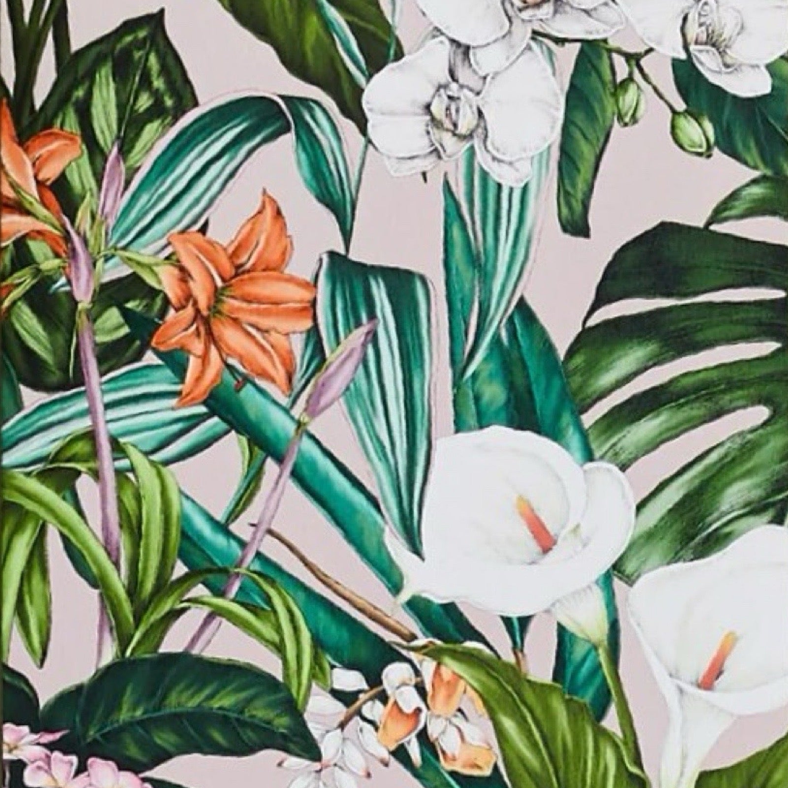 A6 card featuring tropical flowers and foliage, comes with a green envelope.