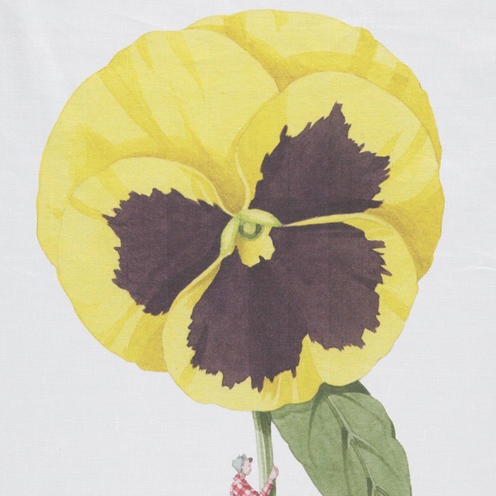 Illustration of a yellow pansy flower on a white background.
