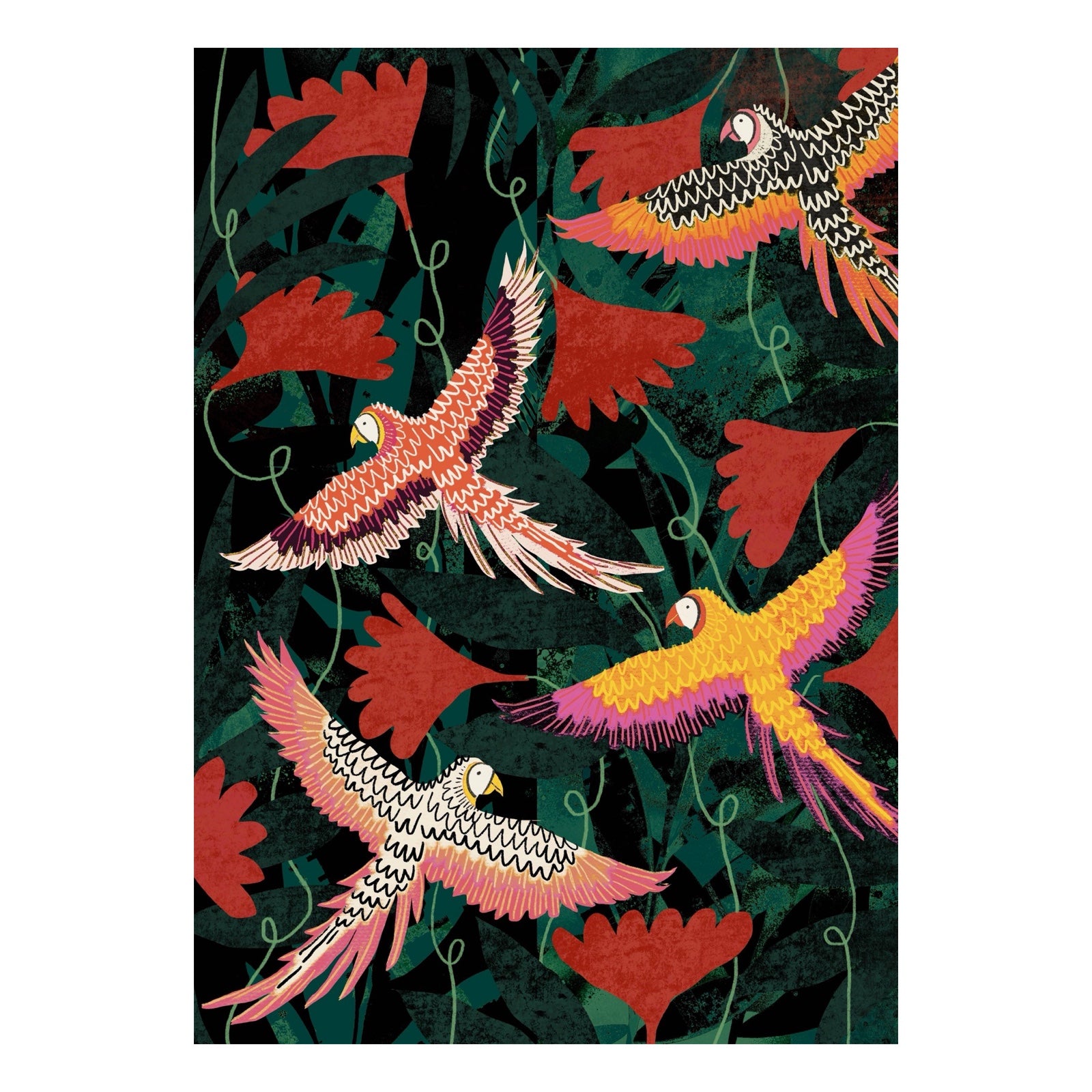 Paradise Birds Print