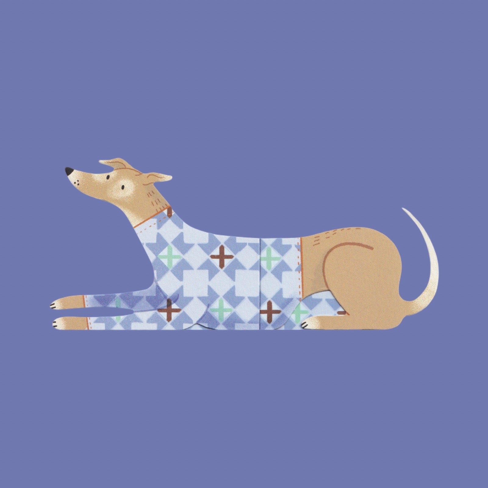 Fold out dog card with a blue sweater on a blue background.