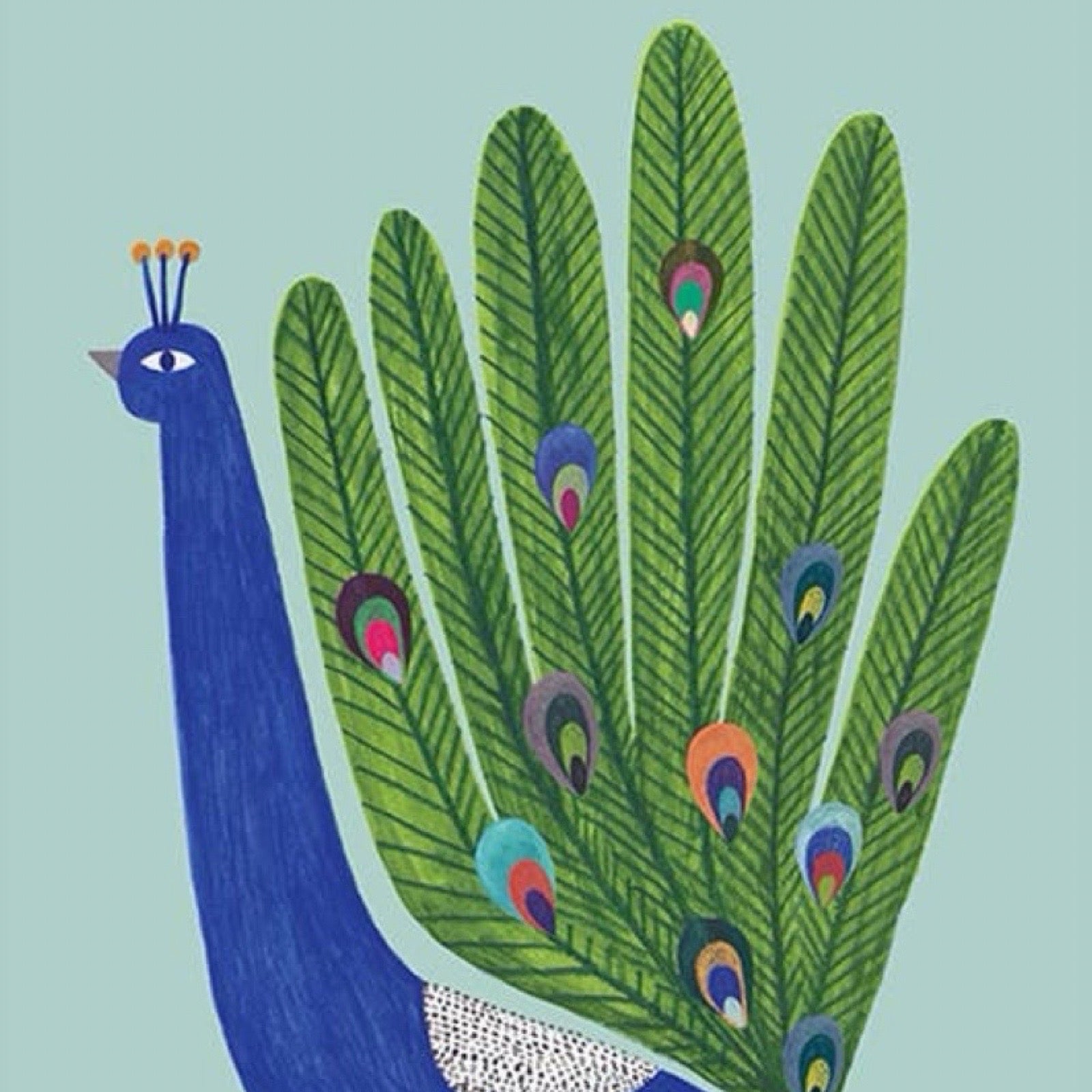 Illustration of a peacock with its feathers open on a light blue background.
