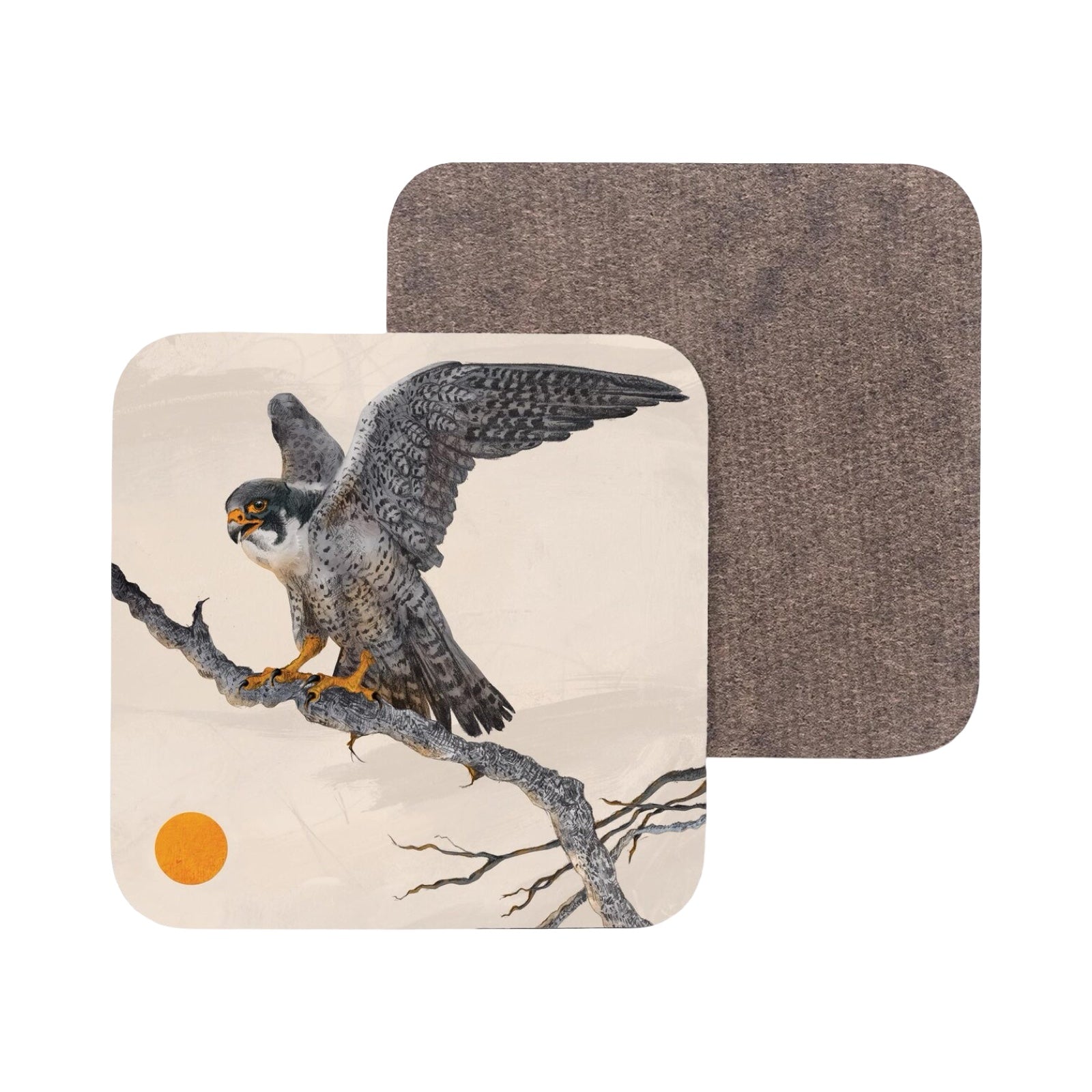 A drink coaster featuring an illustration of a peregrine falcon perched on a tree branch.