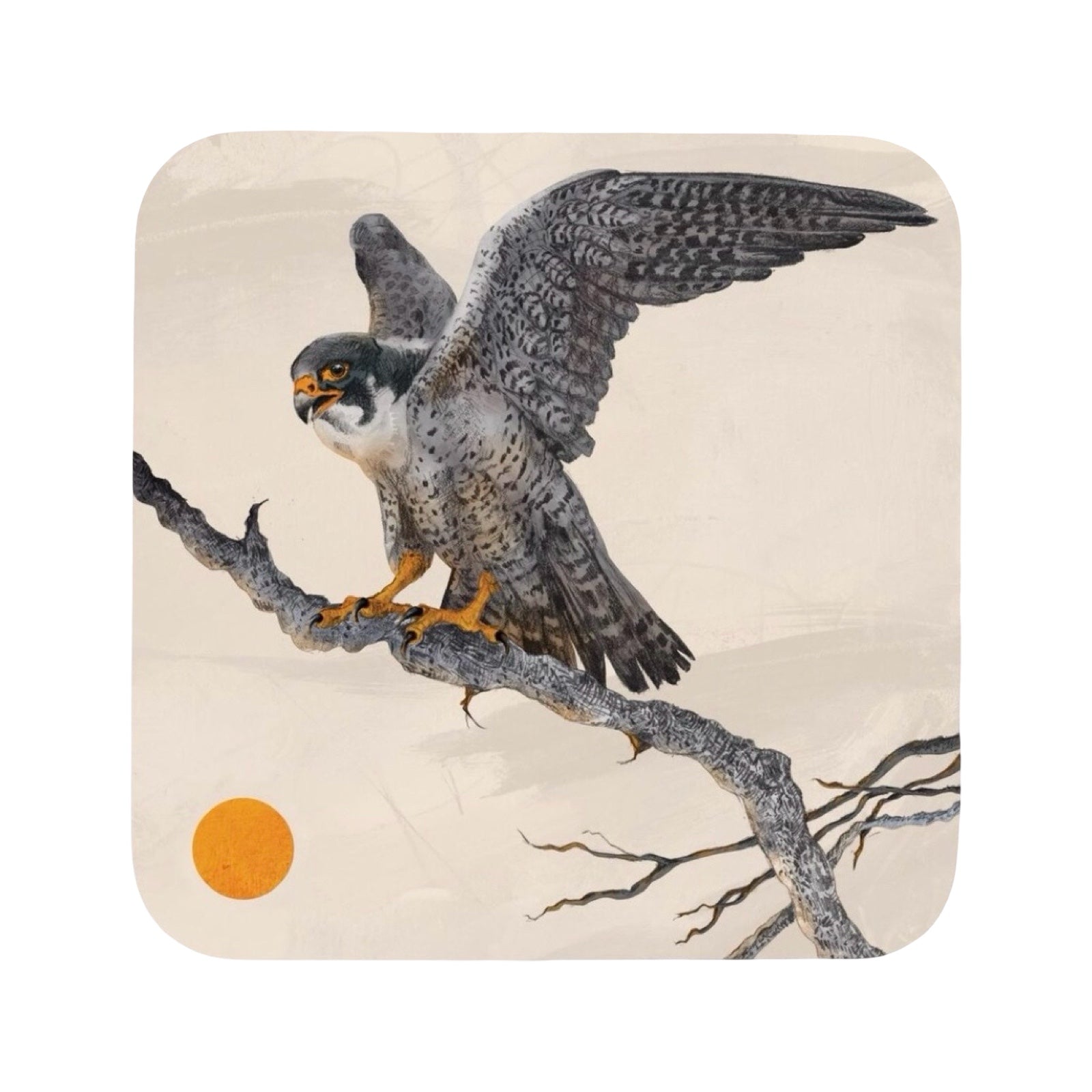 A drink coaster featuring an illustration of a peregrine falcon perched on a tree branch.