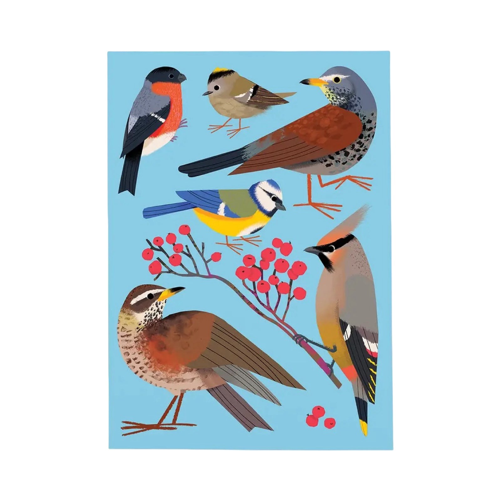 Illustration of various birds on a blue background.
