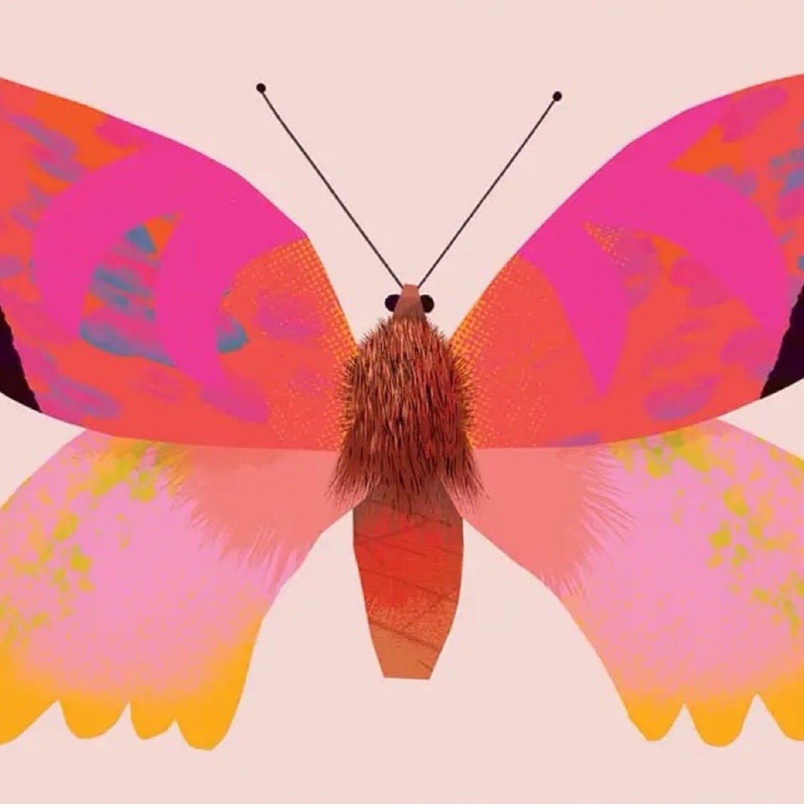 A pink butterfly postcard on a pale pink background.