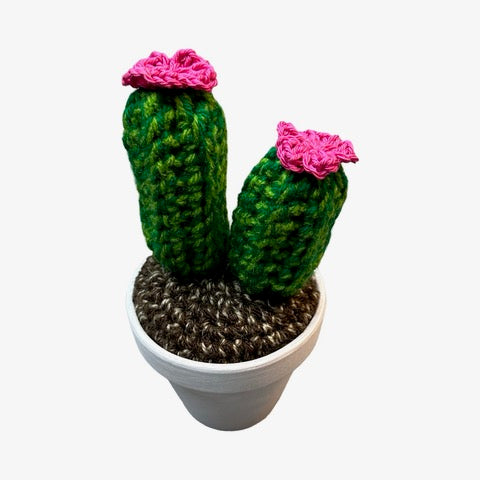 Handmade double stem crochet cactus with Pink flowers in a white painted terracotta pot.