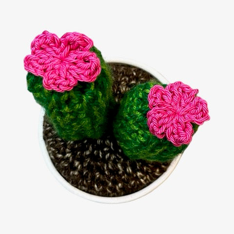 Handmade double stem crochet cactus with Pink flowers in a white painted terracotta pot.