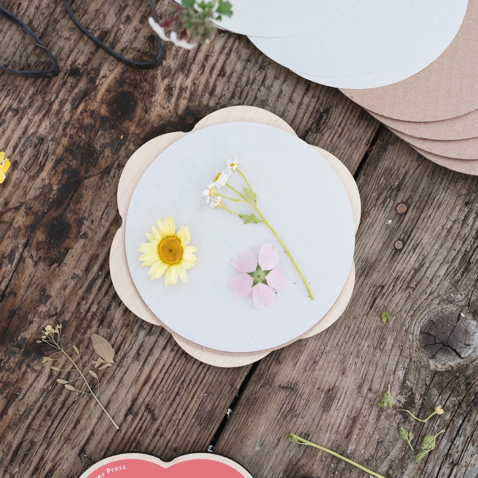 Round flower press with pressed flowers on a wooden surface.