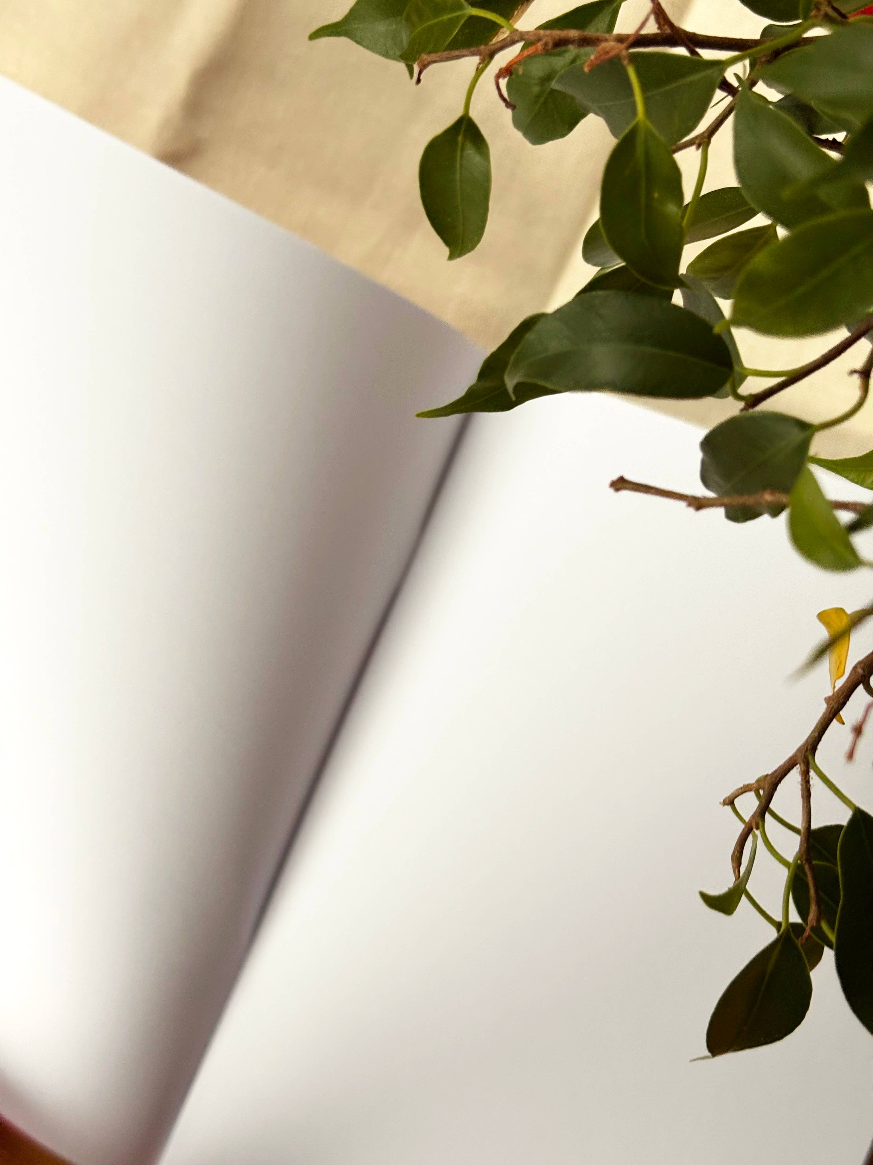 A close-up of a white notebook pages with green leaves and branches from a plant resting across the top right corner against a beige fabric background.
