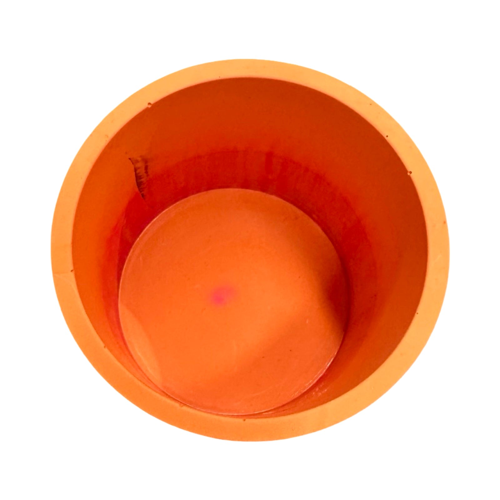 Green Tropical Small Fusion Planter