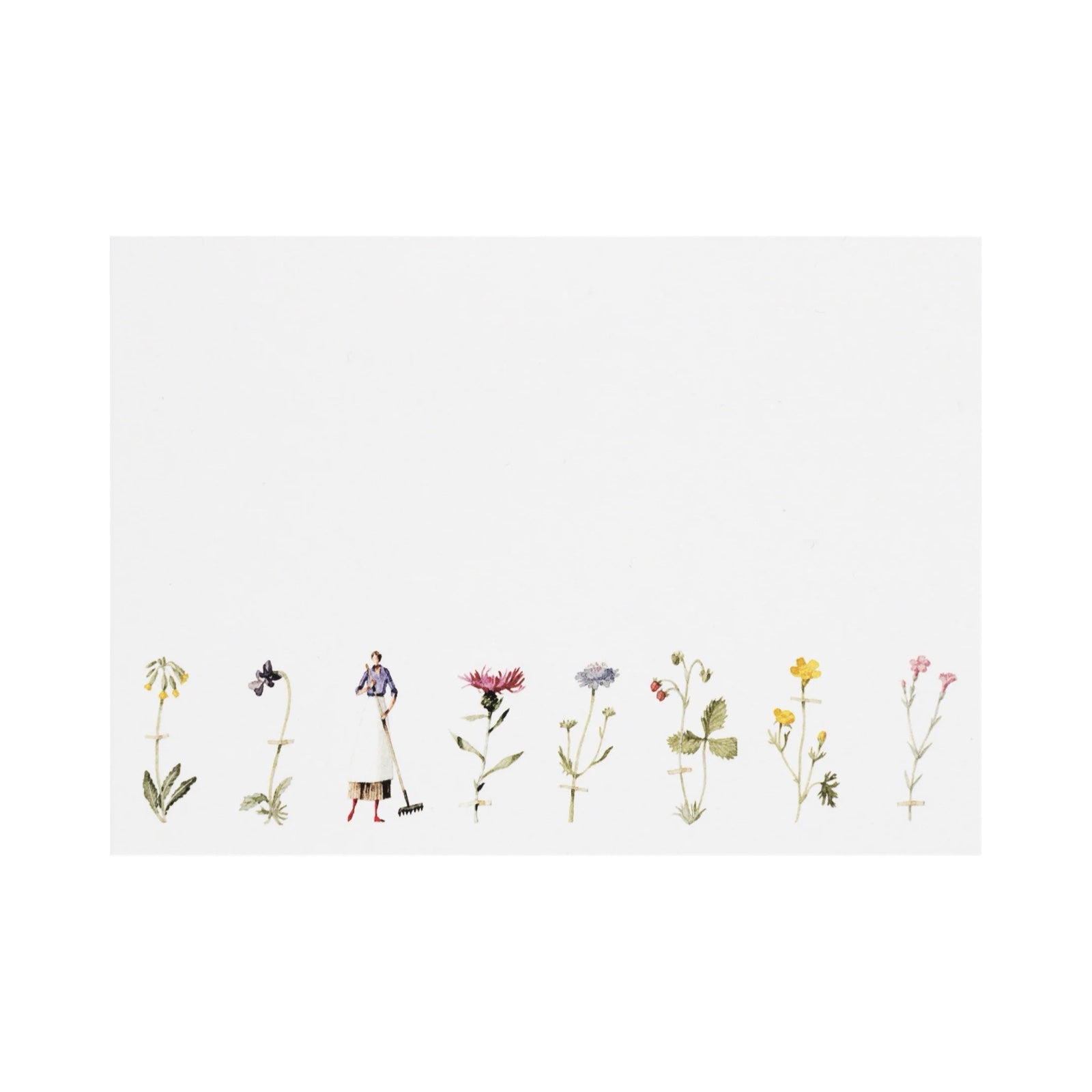 Wildflower Flat Notes