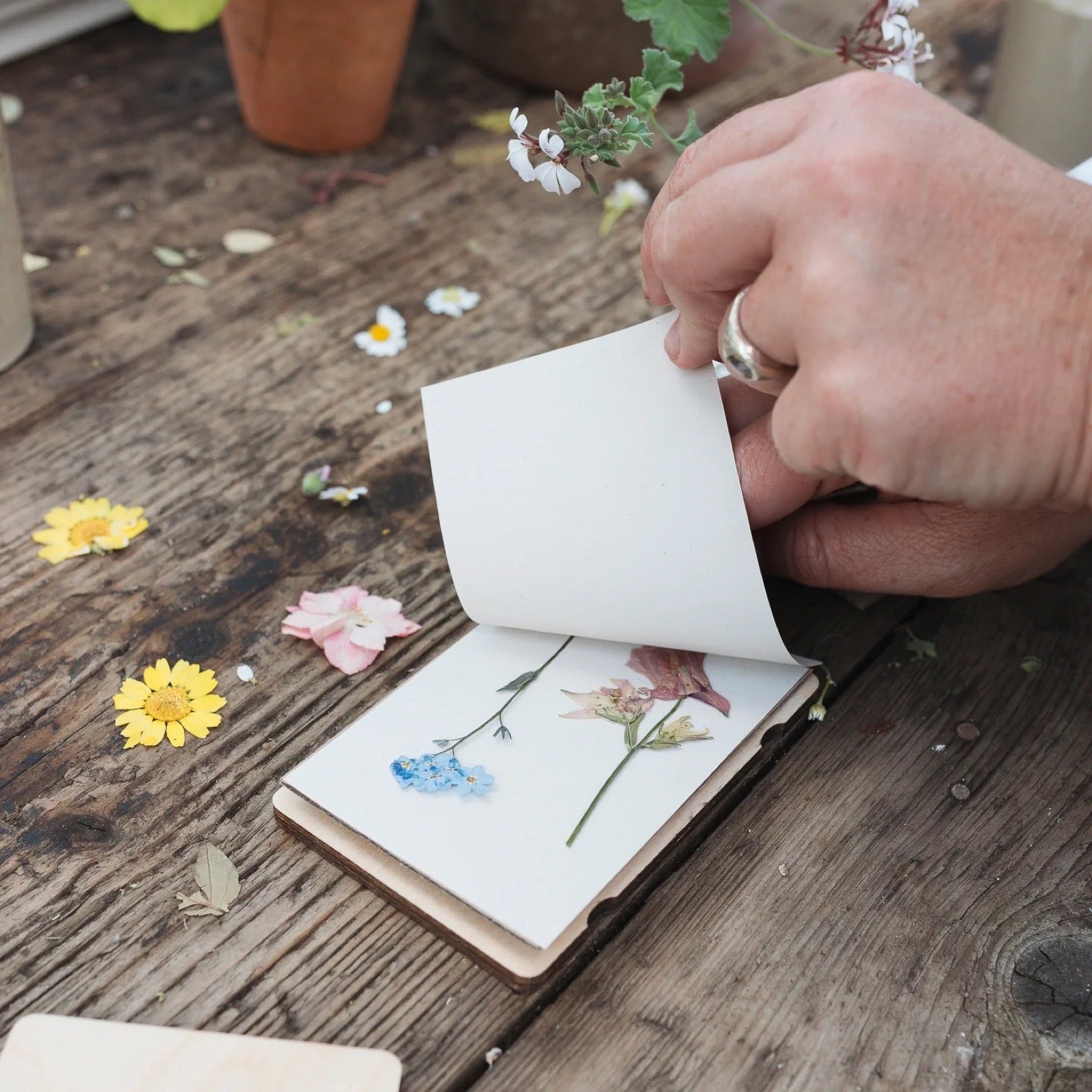 Person pressing flowers into a small flower press on a wooden surface.