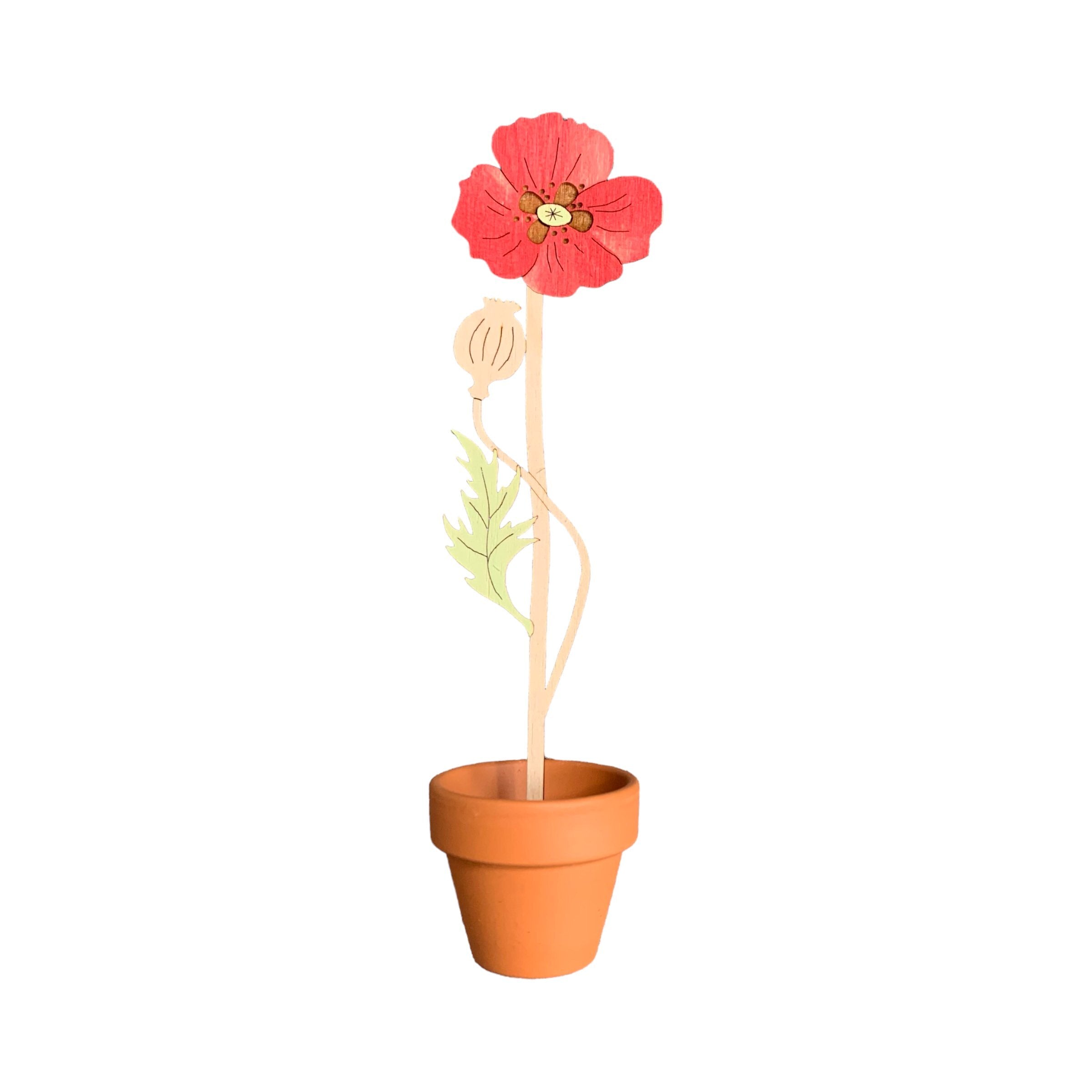 A poppy wooden flower stem in a terracotta pot