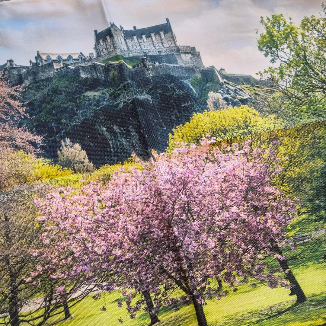 Castle on a hill with cherry blossom trees in the foreground