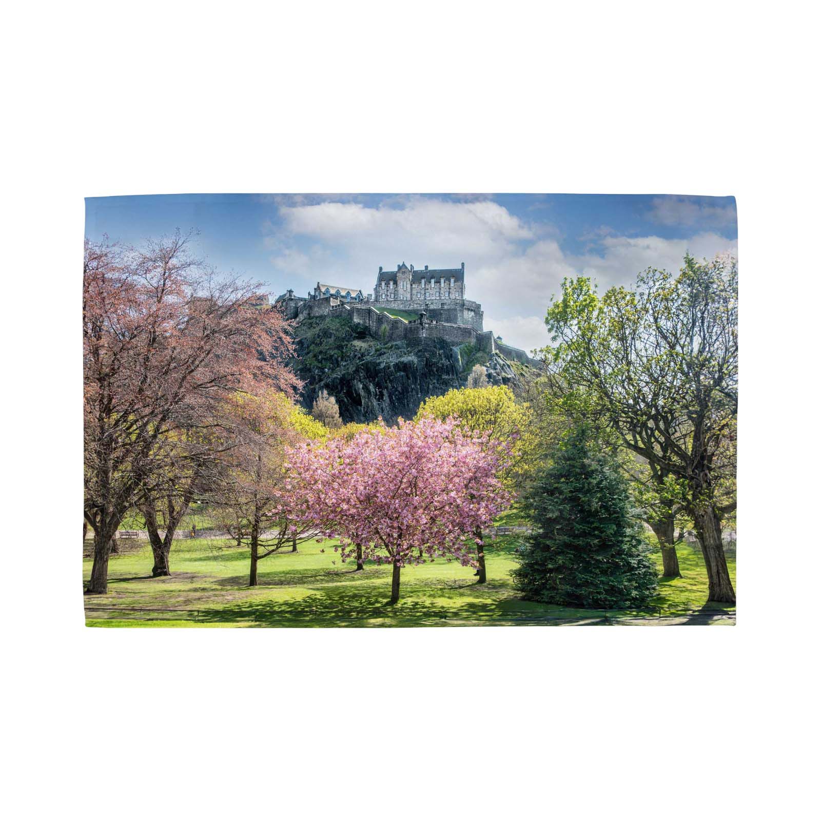 Castle on a hill with cherry blossom trees in the foreground