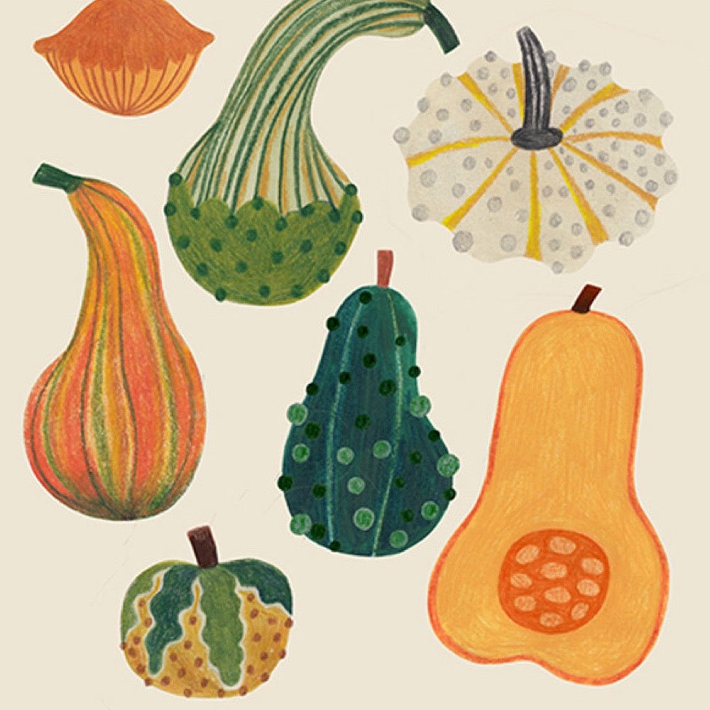 Illustration of various pumpkins on a beige background.