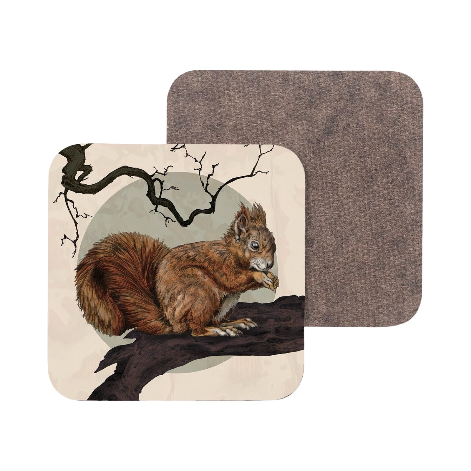 A coaster featuring an illustration of a red squirrel perched on a tree branch.